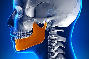 Animation of skull and jawbone